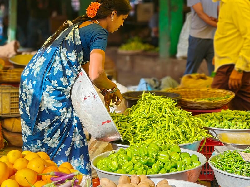 Green chillies being sorted at an Indian produce market